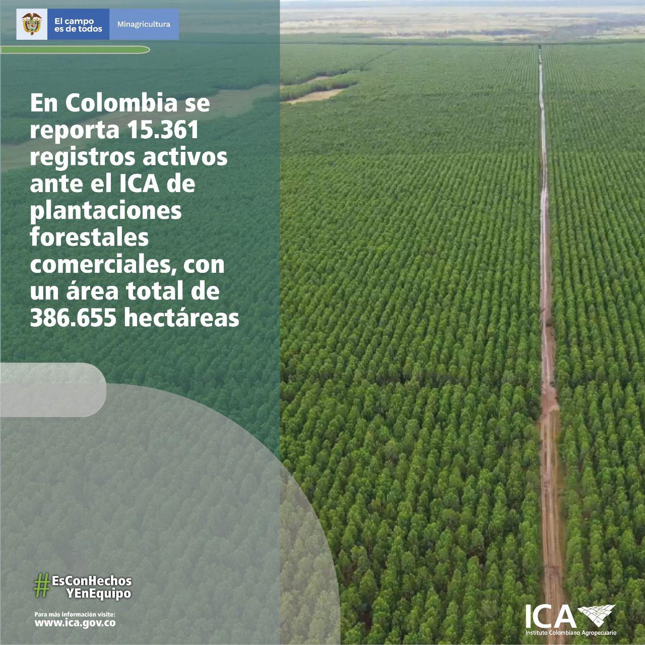 Imagen que contiene pasto, verde, campo, firmar
Descripción generada automáticamente
