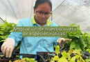 Transformando sabanas degradadas en la Orinoquía, en bosques de conservación