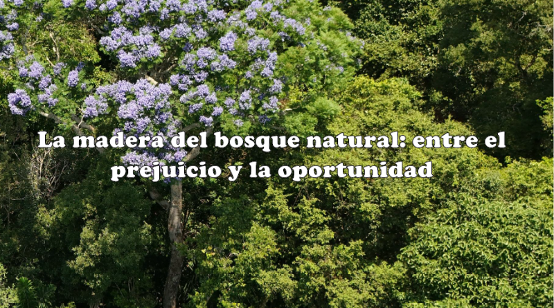La madera del bosque natural: entre el prejuicio y la oportunidad